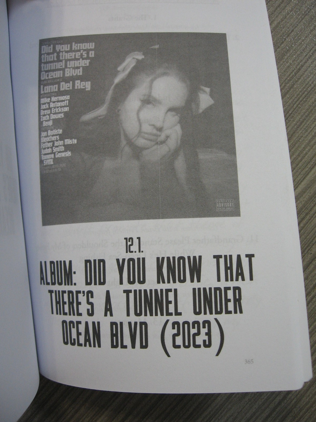 LANA DEL REY – F’ED MY WAY TO THE TOP BIOGRAPHY – RARE OOP PAPERBACK – 2024