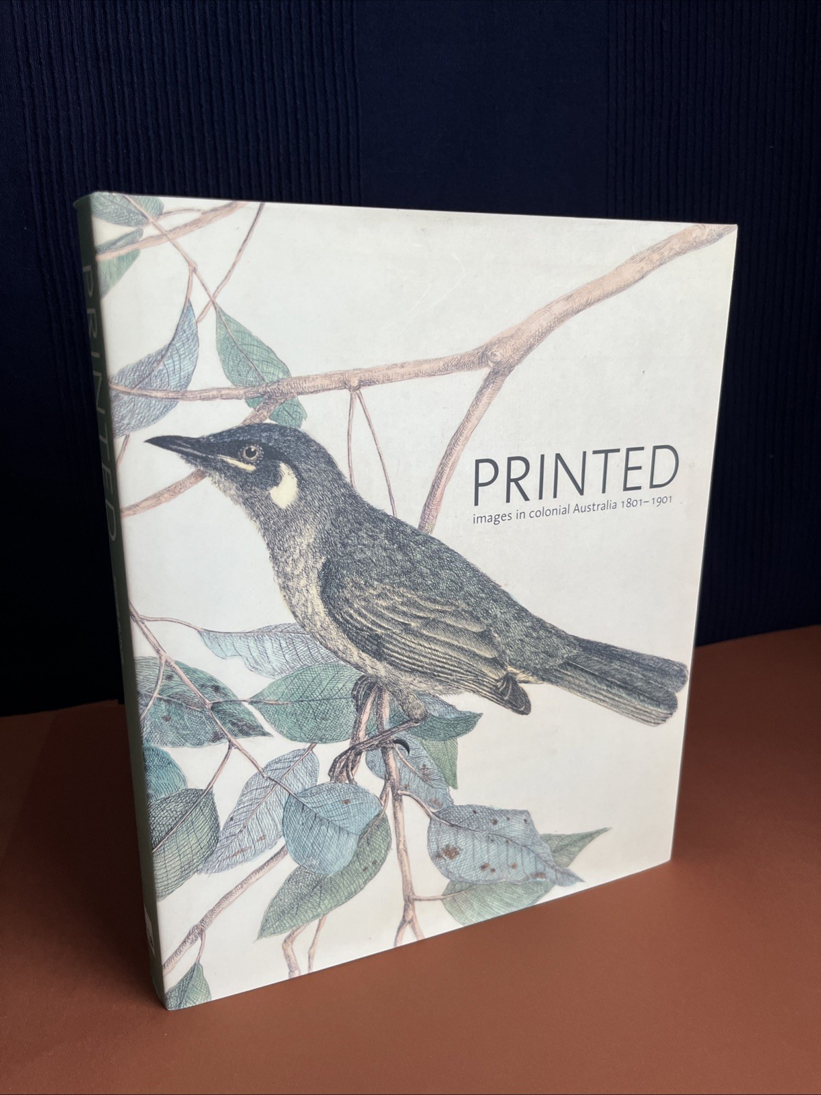 PRINTED: Images in Colonial Australia 1801-1901 NGA 1st Ed 2007 Large Lavish HCR