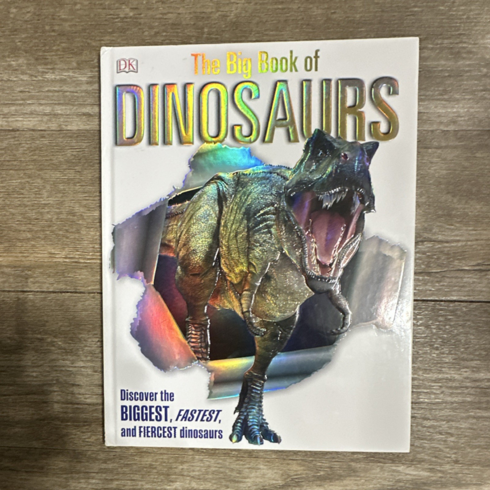 DK The Big Book of Dinosaurs Hardcover Illustrated Picture Book Ages 4-8
