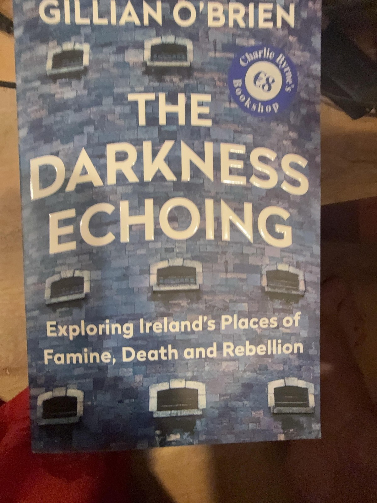The Darkness Echoing Gillian O’Brien Books Paperback Blue Irish History Travel