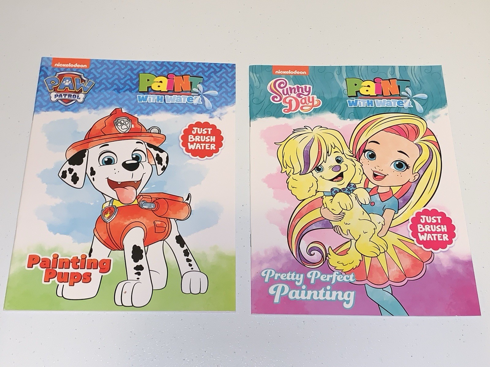 Paw Patrol & Sunny Day Paint with Water Books Set of 2 No Mess Watercolor
