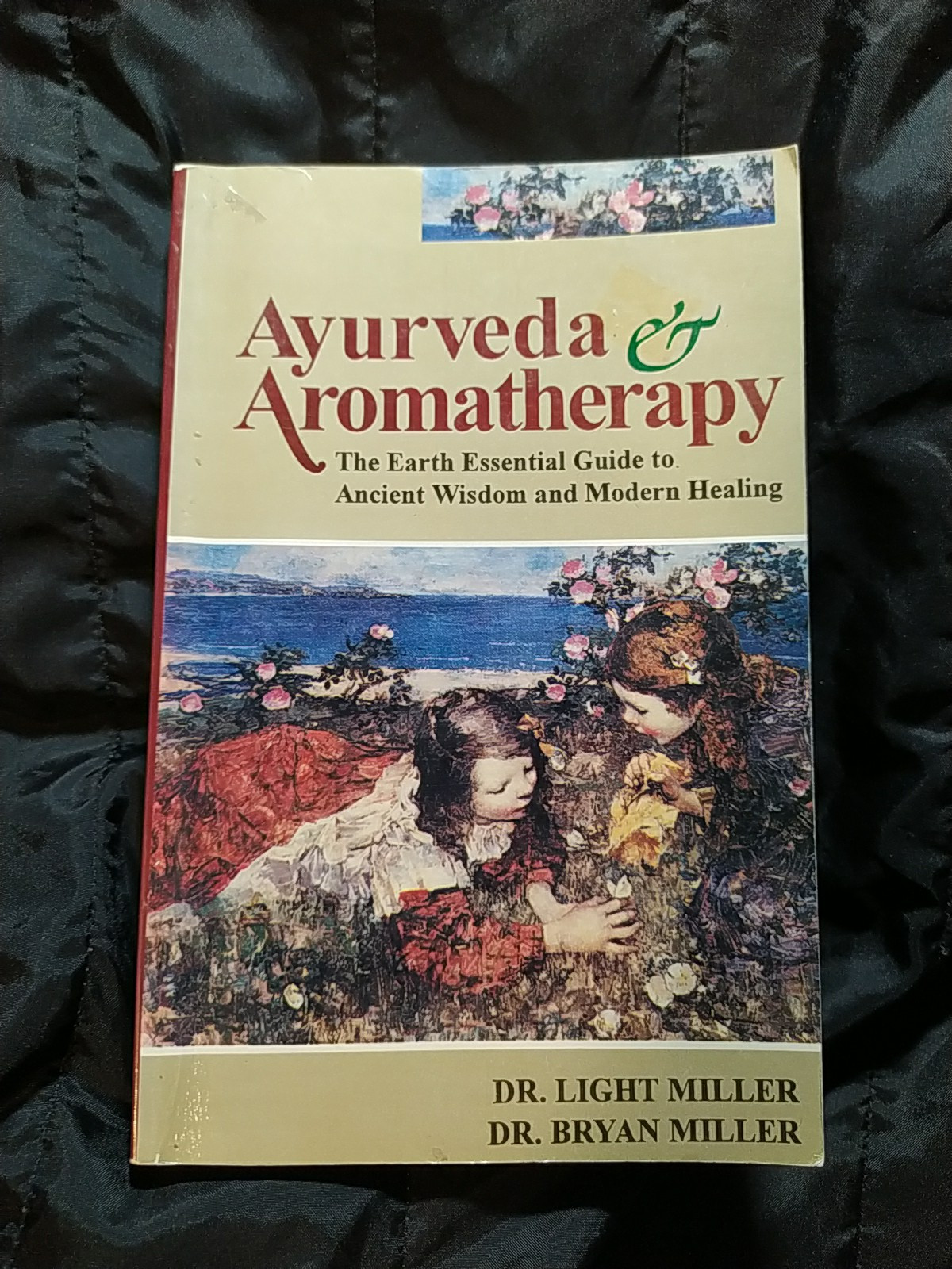 ALTERNATIVE MEDICINE AYURVEDA & AROMATHERAPY EARTH ESSENTIAL ANCIENT WISDOM GUID