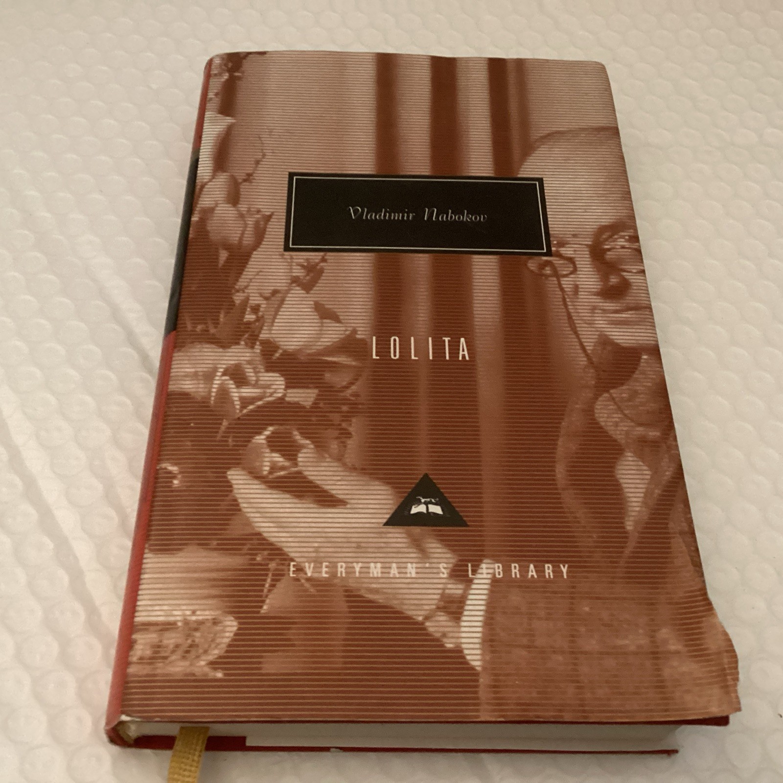 Lolita : Introduction by Martin Amis by Vladimir Nabokov (1993, Hardcover)