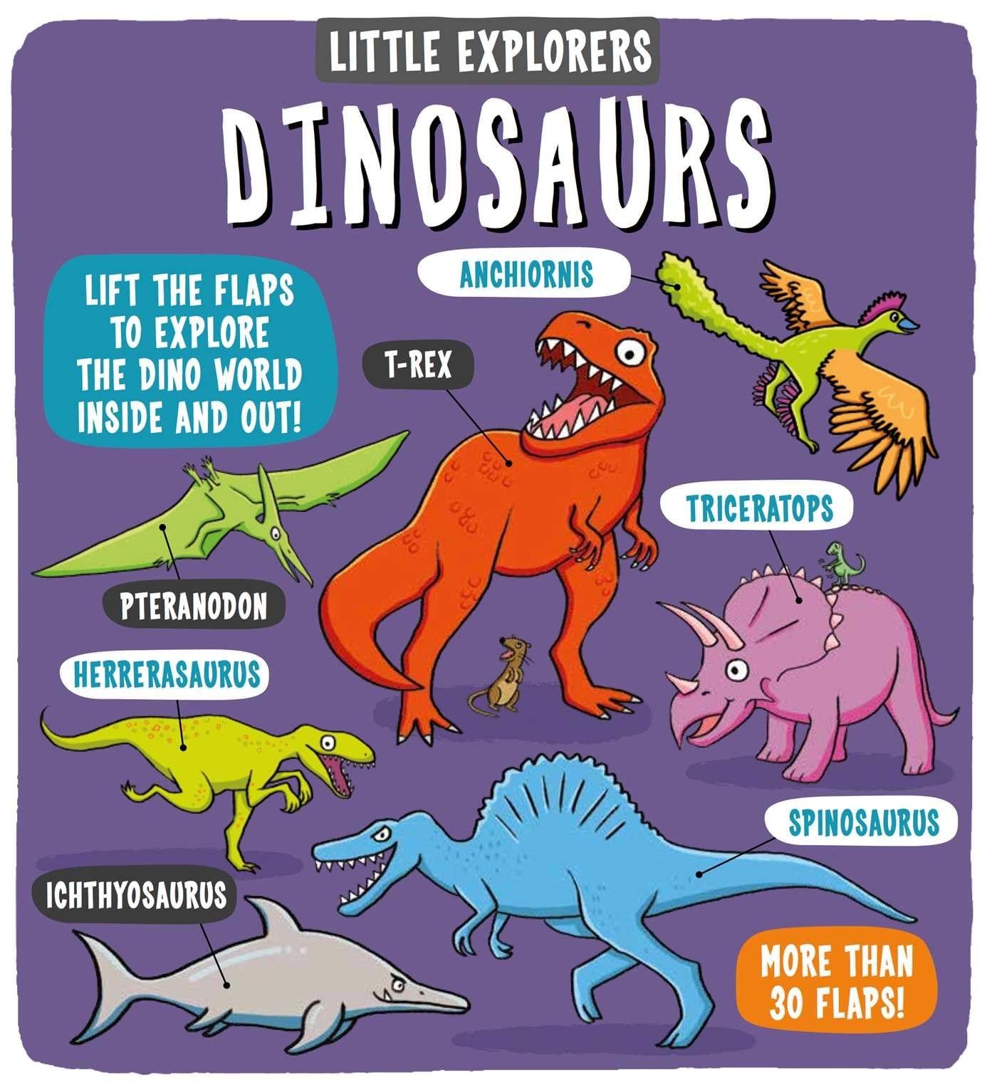 Little Explorers: Dinosaurs – hardcover Little Bee Books