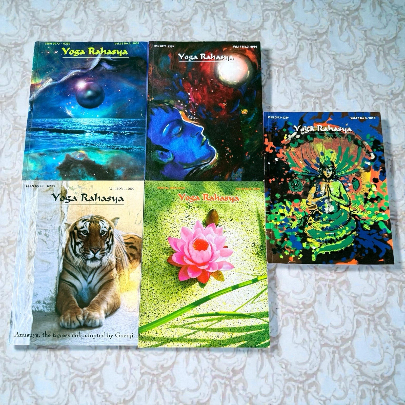 Yoga Rahasya Magazines Techniques & Philosophy Lot of 15 2005-10