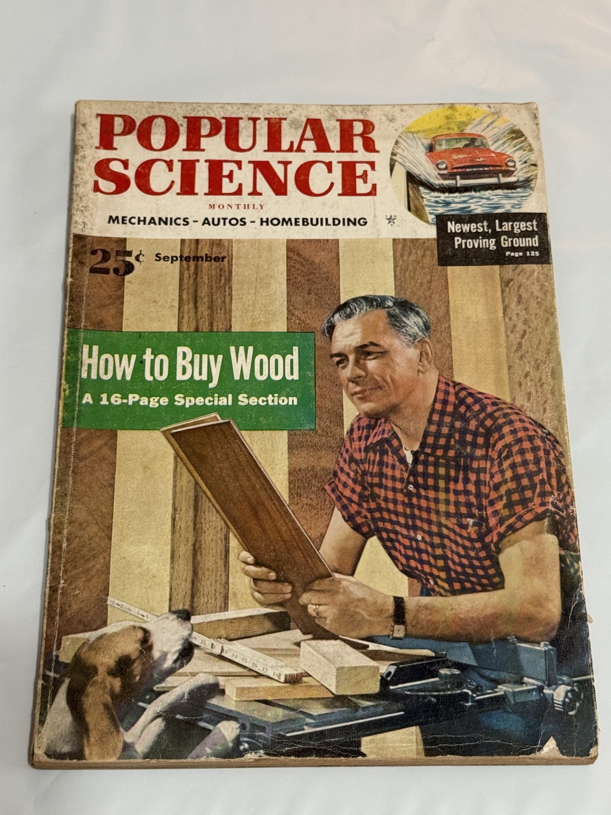 Popular Science Magazine September 1953 – How To Buy Wood