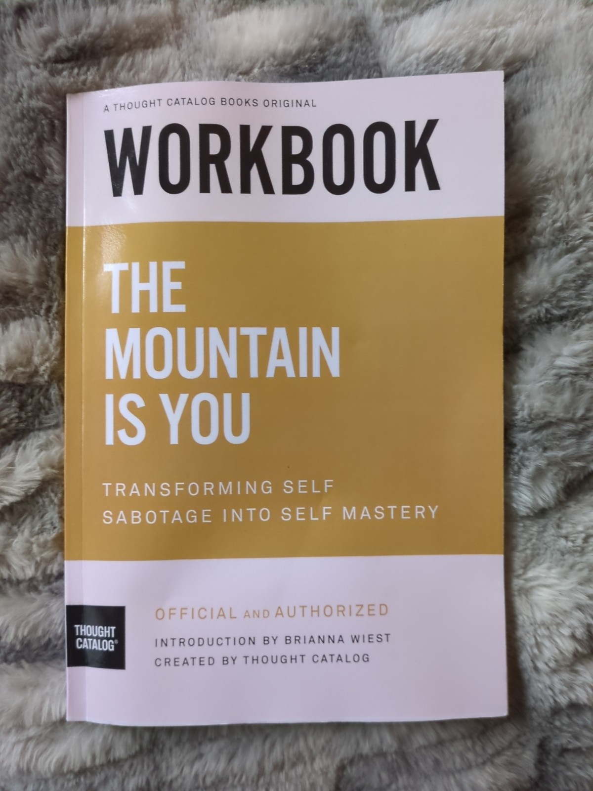 Workbook: The Mountain Is You: Transforming Self Sabotage into Self Mastery