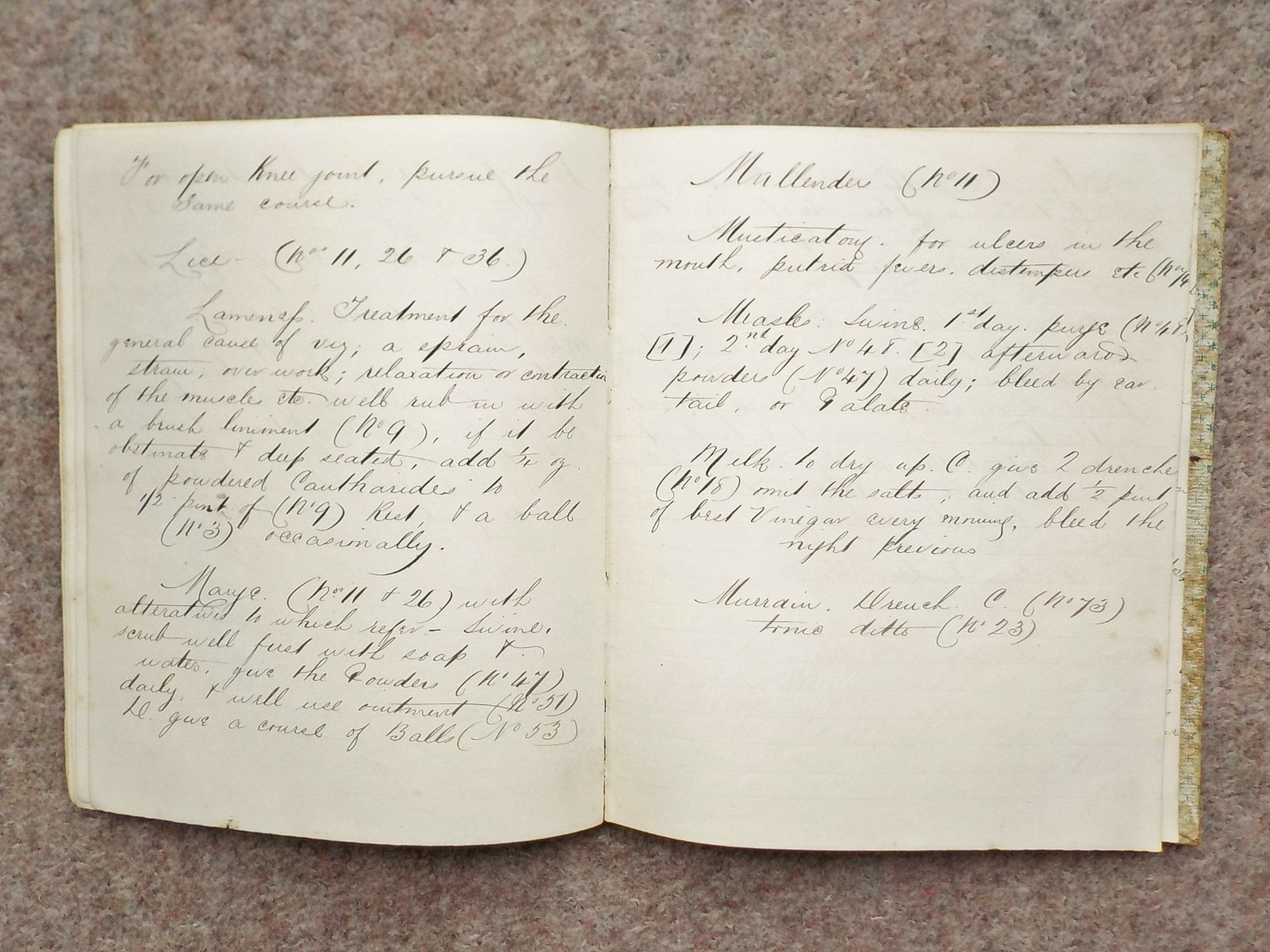 1886 Veterinary handwritten book Cures Recipes 91 pages Horses Dogs Cattle etc