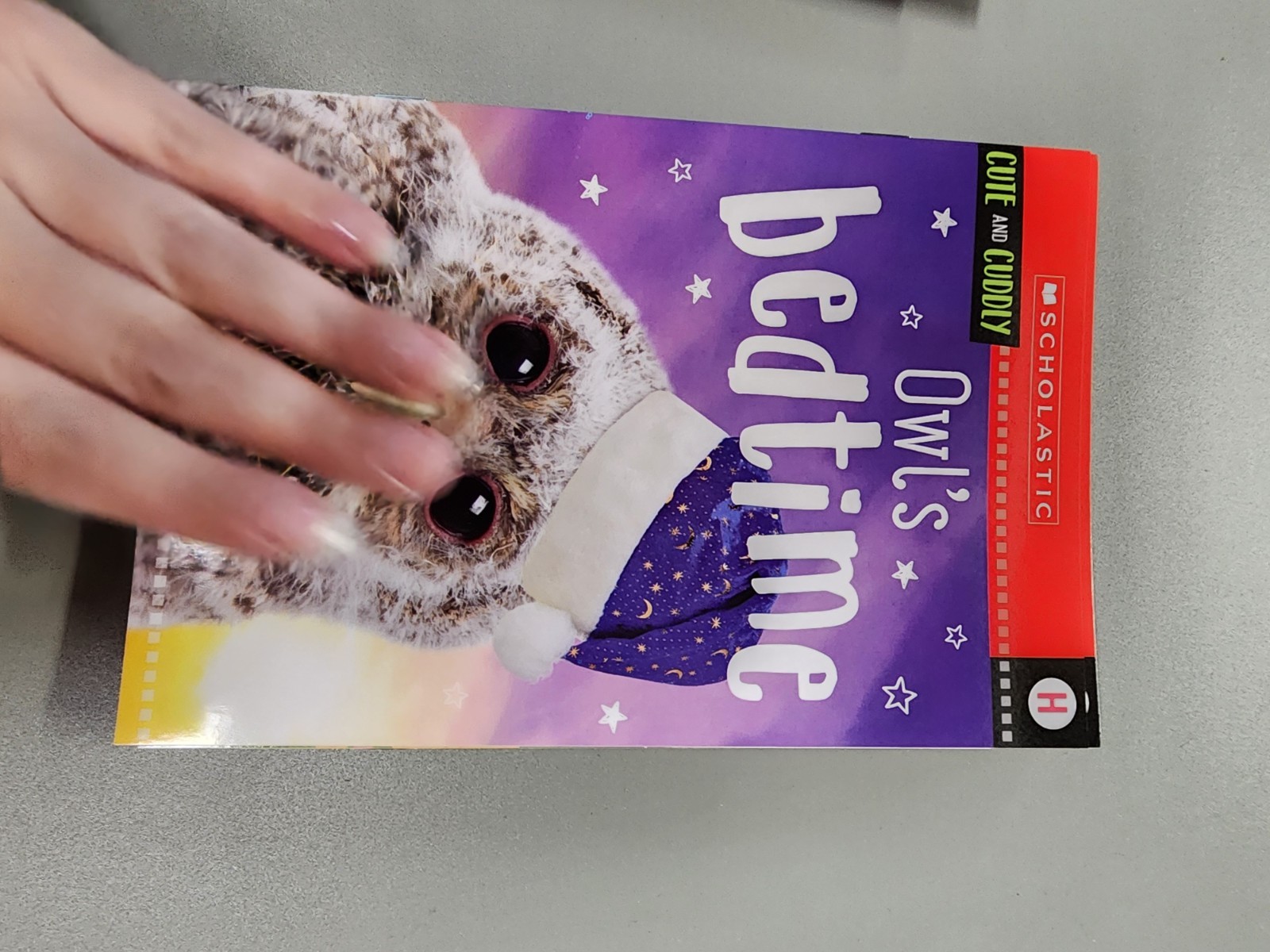 Animal Antics First Grade Reader Box Set: Scholastic Box or Slipcased