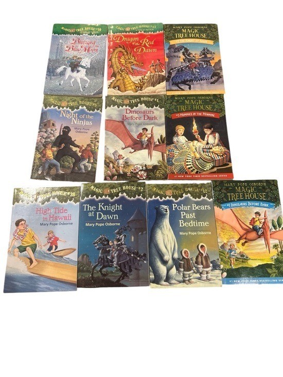 Magic Tree House Books set of 10 assorted juvenile fiction summer reading lot