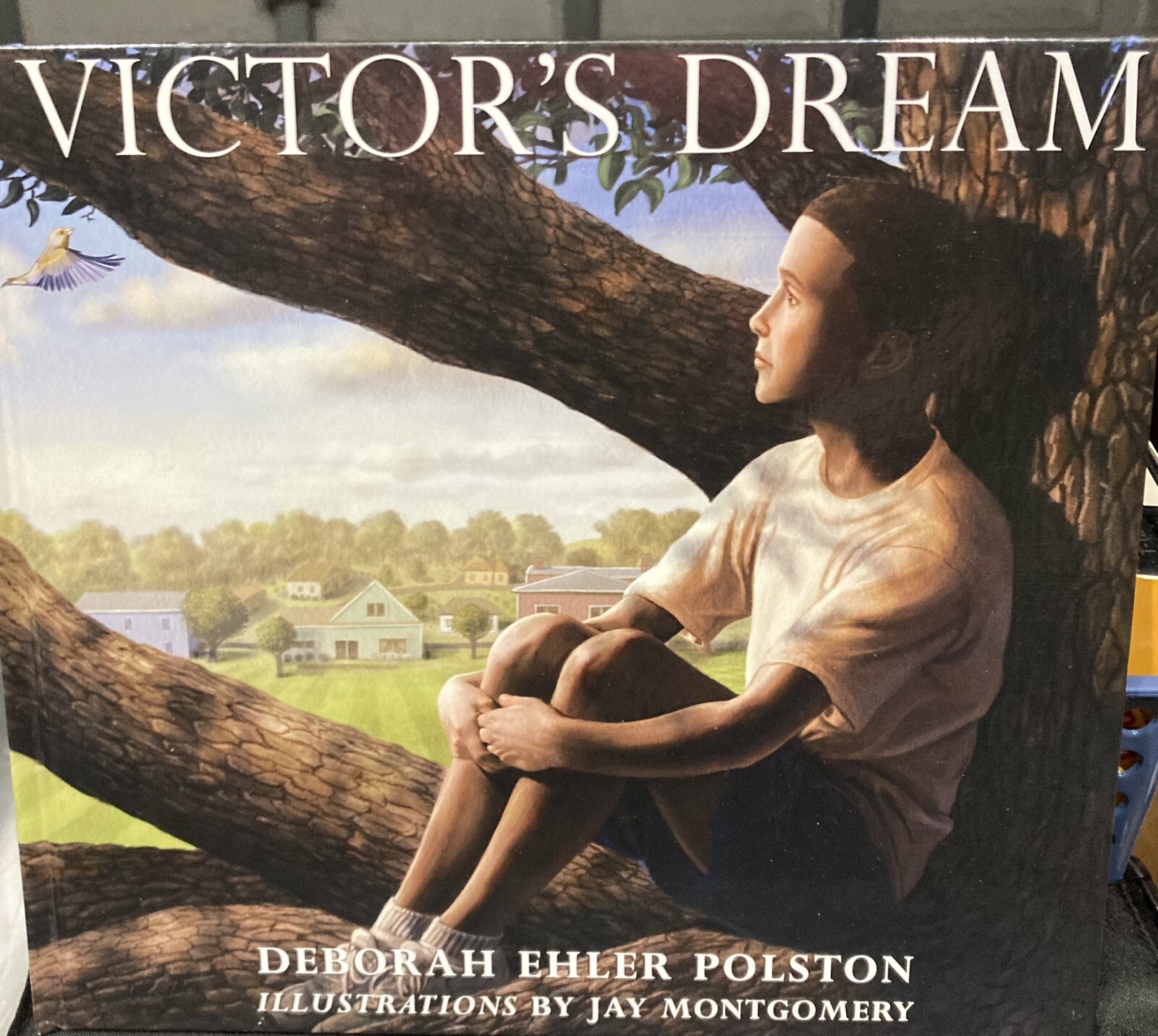 Victor’s Dream by Deborah Polston (2010, Hardcover)