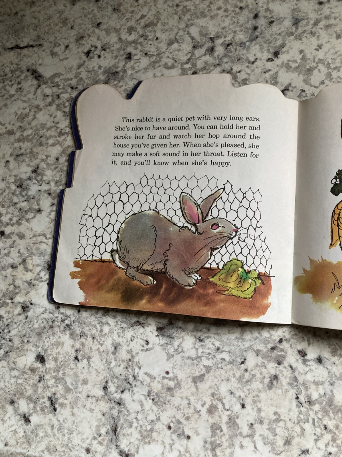 Pets by Lois Vanderhoef A Golden Shape Book Second Printing 1977 Golden Press