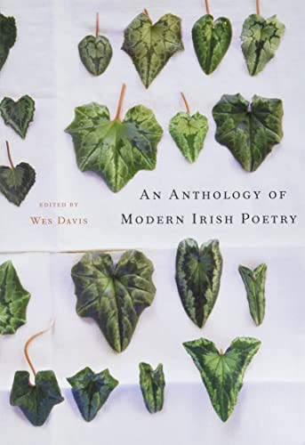 An Anthology of Modern Irish Poetry by Wes Davis Paperback / softback Book The
