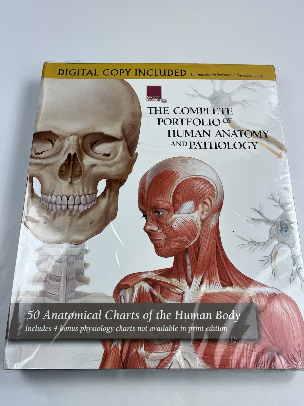 The Complete Portfolio of Human Anatomy and Pathology