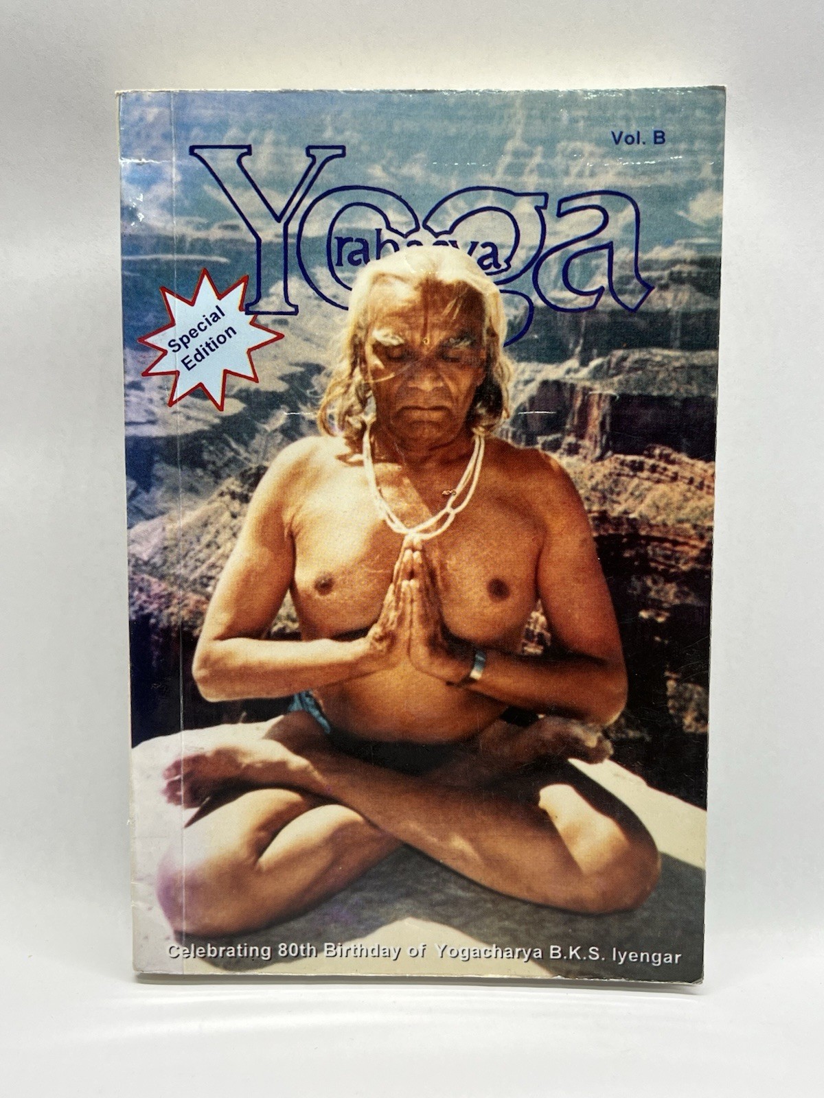 Yoga Rahasya; Volume B by Rajvi H. Mehta ( PB