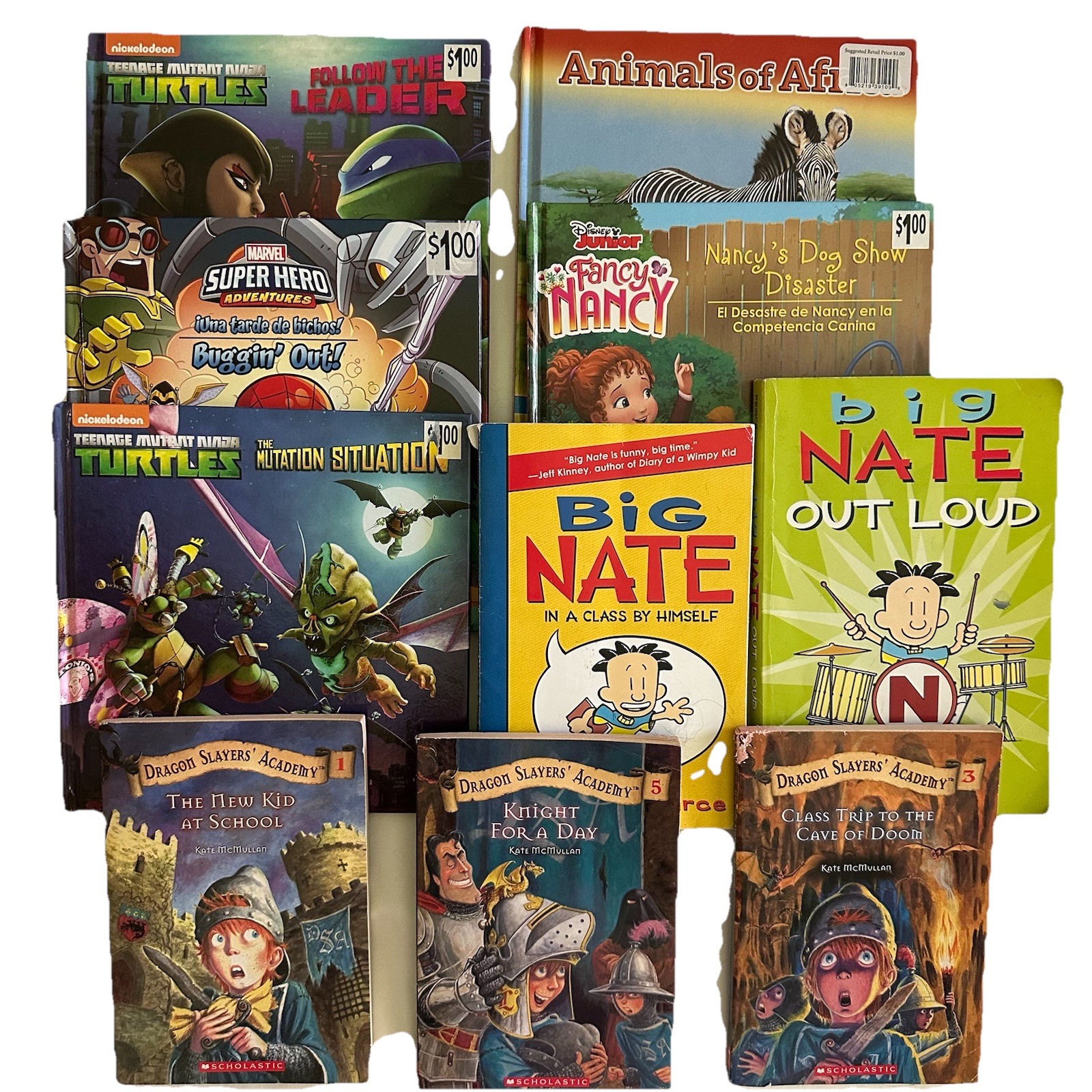 10 CHAPTER BOOKS FOR KIDS/YOUNG ADULTS Library Teacher Classroom GOOD CONDITION