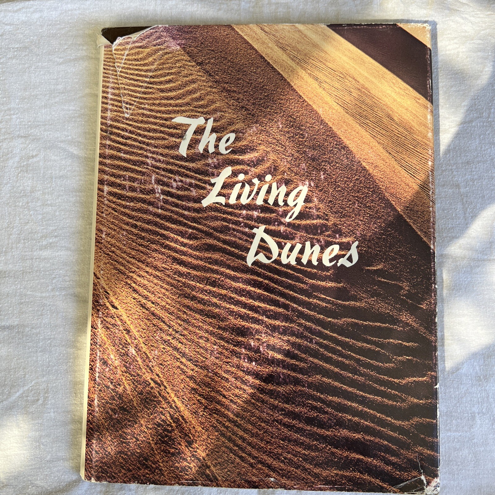 THE LIVING DUNES by JERRY LARSON 1976 Hard Cover Dust Cover 1st Edition- Signed*