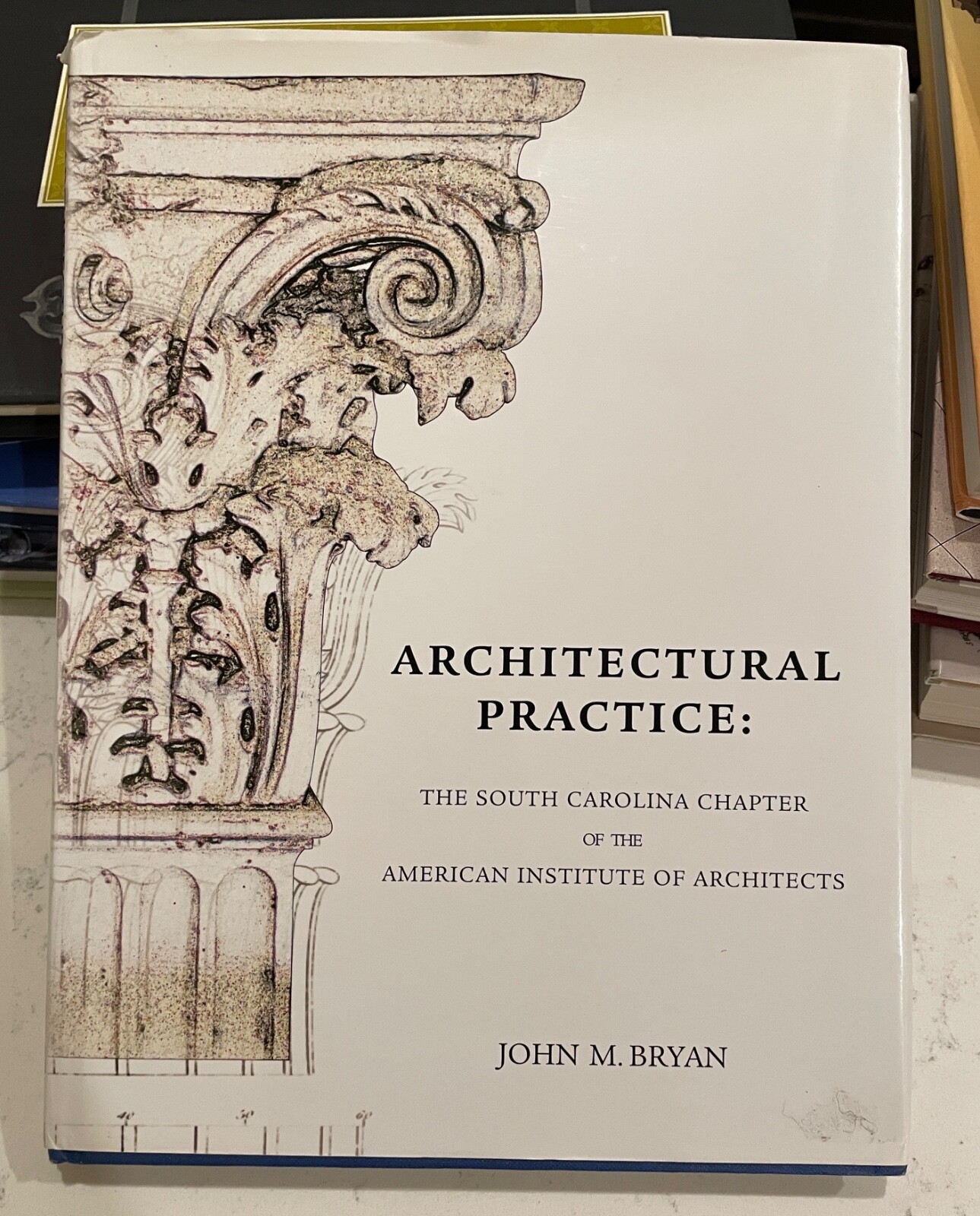 Architectural Practice : The South Carolina Chapter of the AIA by John Bryan