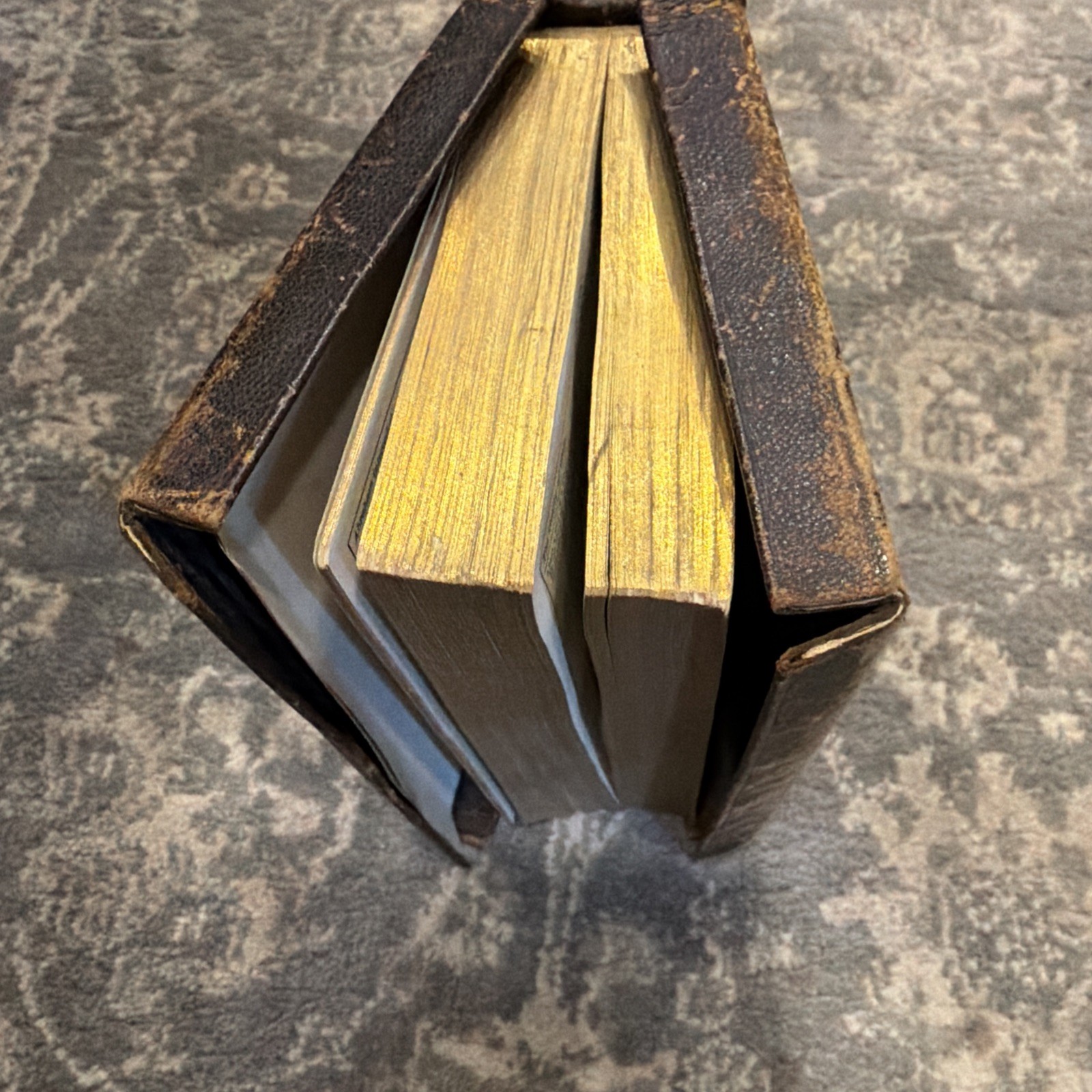 The Holy Bible 1881 New York American Bible Society Original Tongues.