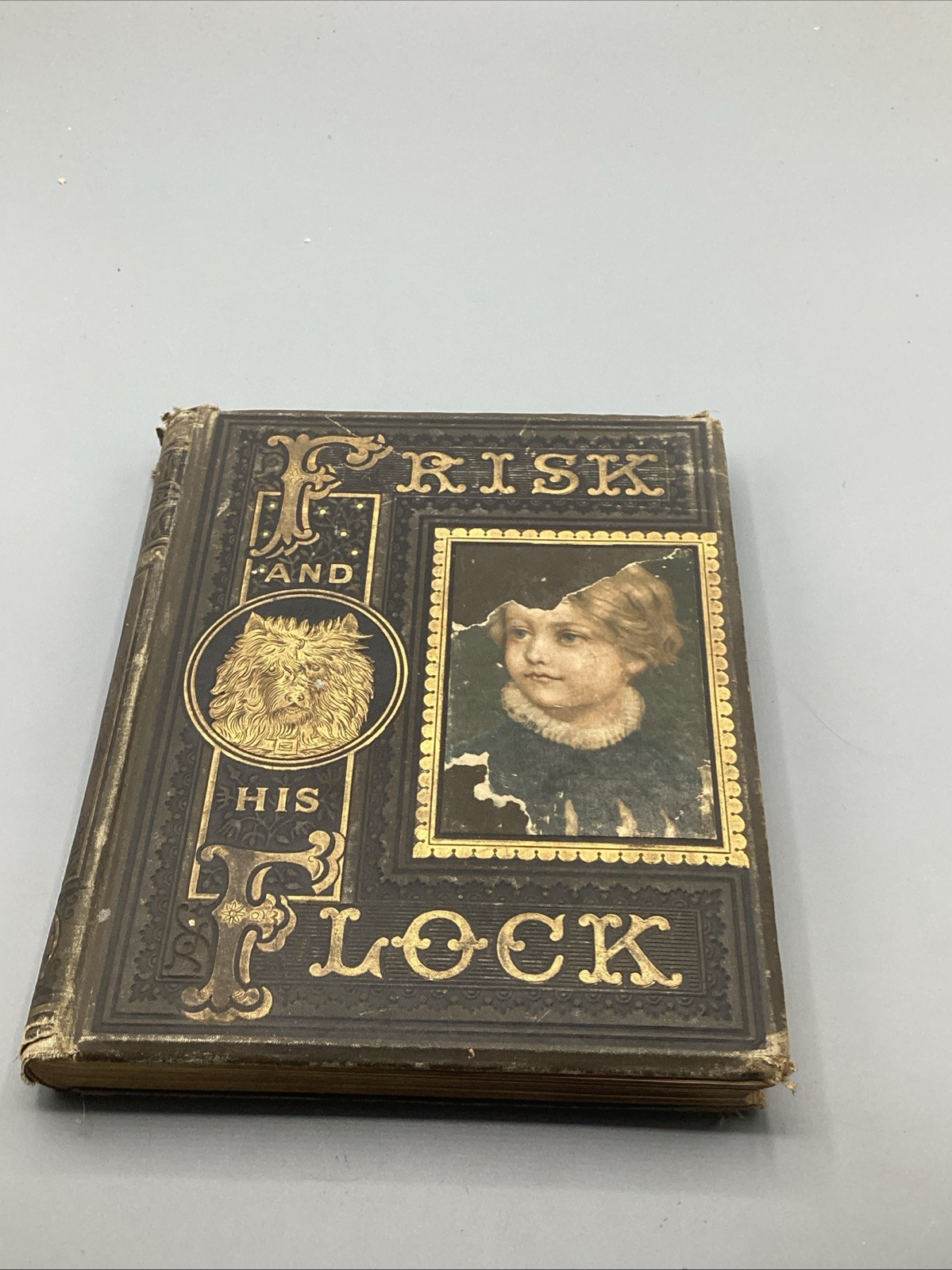 Frisk & His Flock 1883 Illustrated Children’s Book