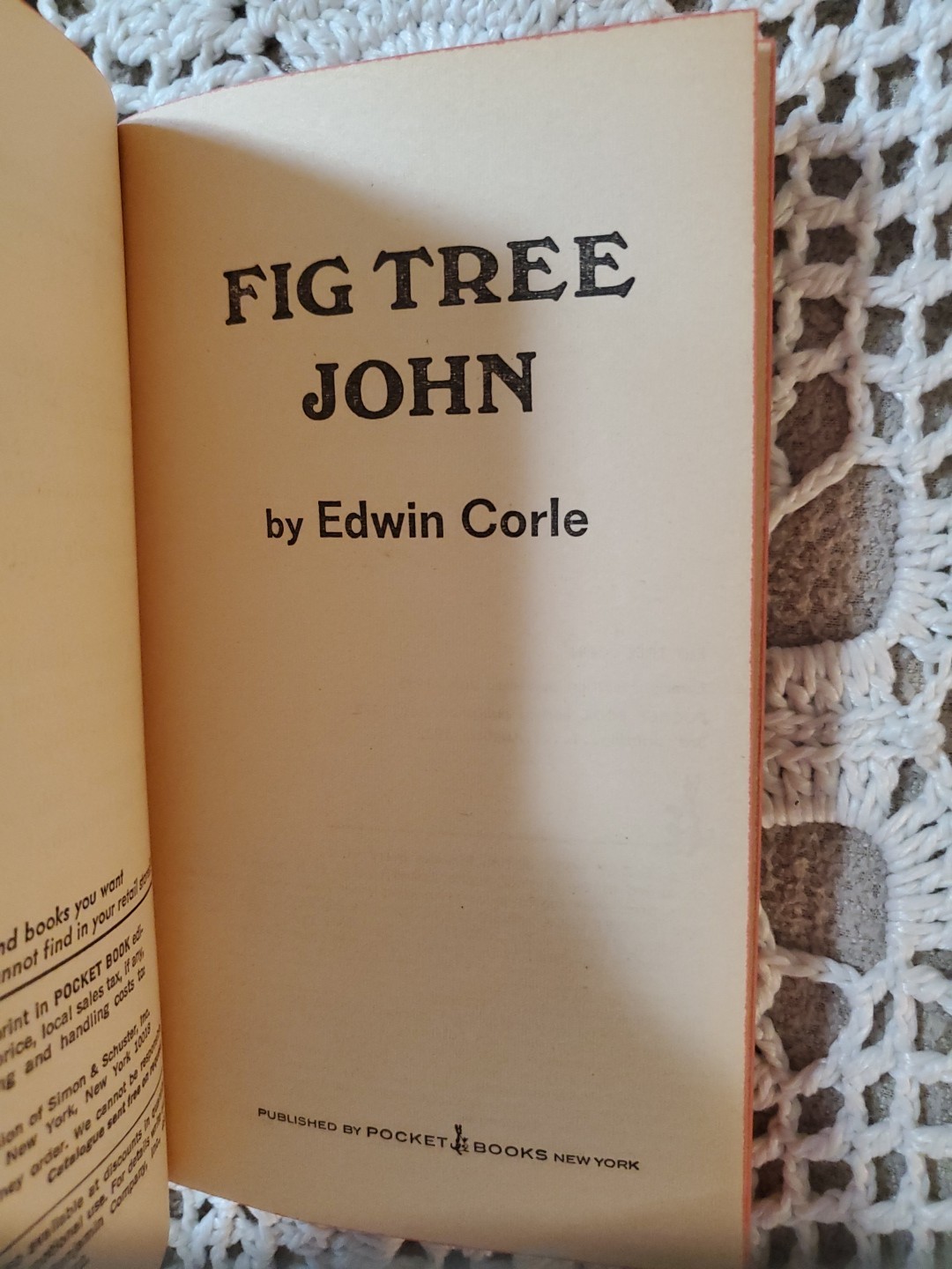Fig Tree John The Classic Novel by Edwin Corle 1972 Pocket Books 3rd printing VG