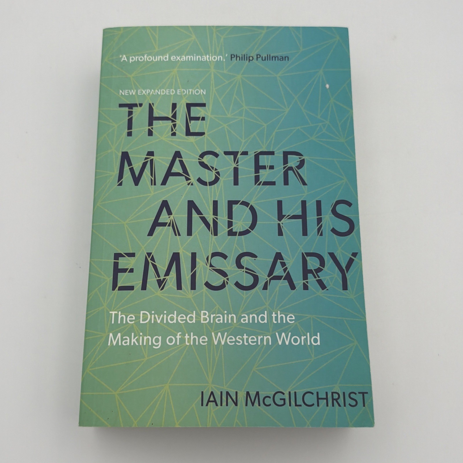 The Master and His Emissary by Iain Mcgilchrist – Like New Paperback Fast S & H