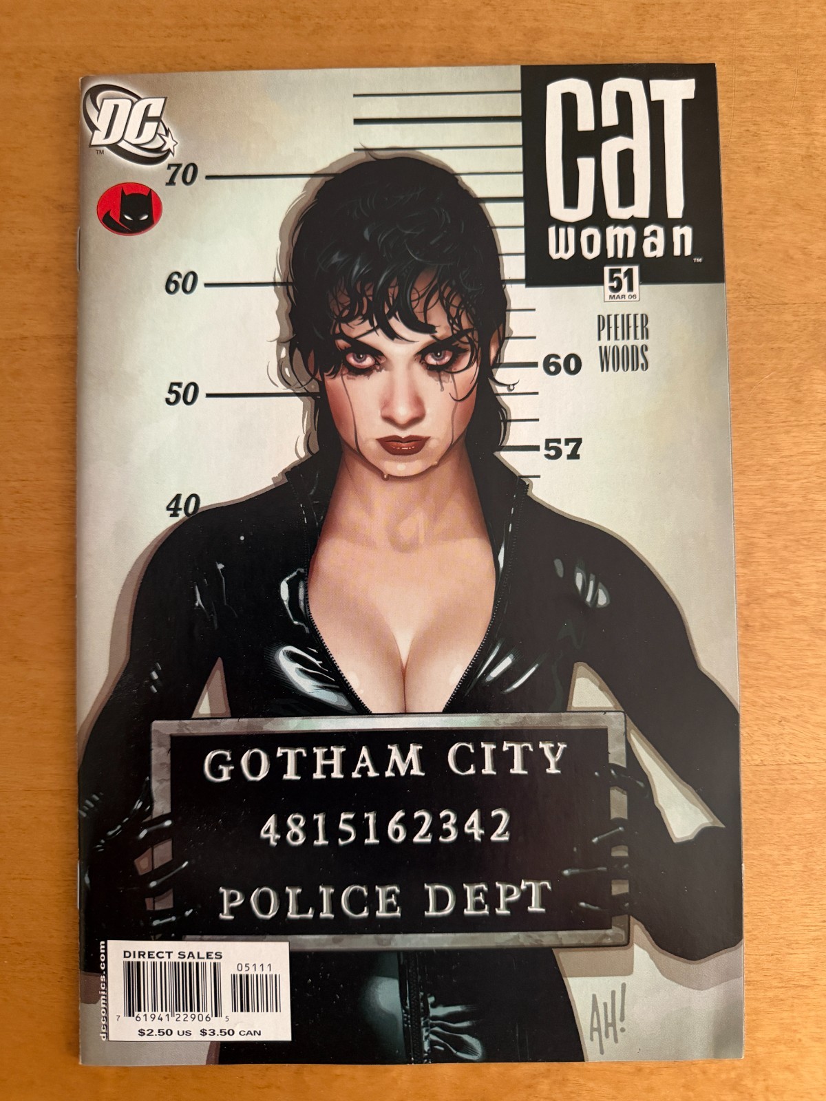 Catwoman #51 set DC Comics (2002 series) Adam Hughes