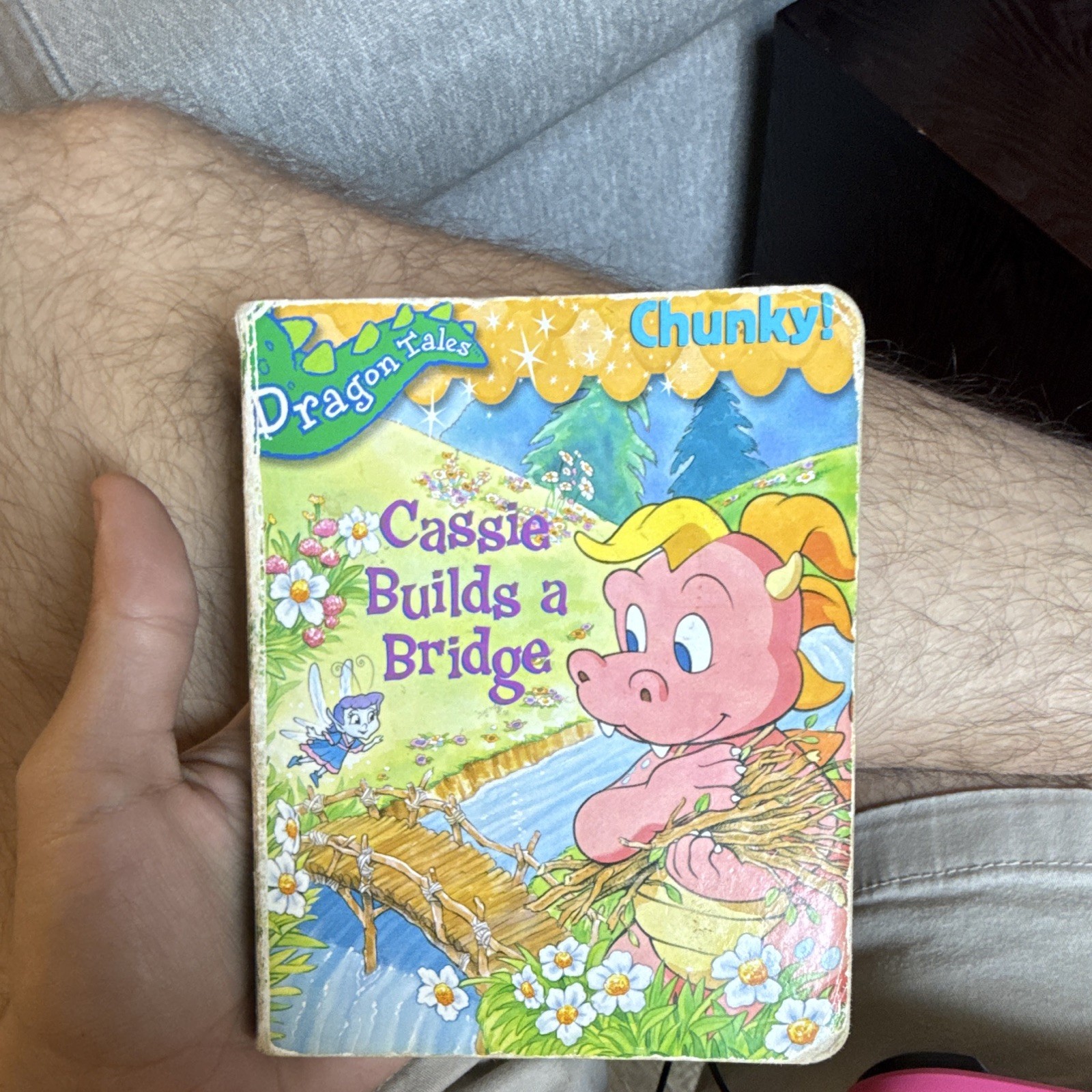 Dragon Tales Cassie Builds a Bridge Illustrated Board Book Ages 4-8 2006