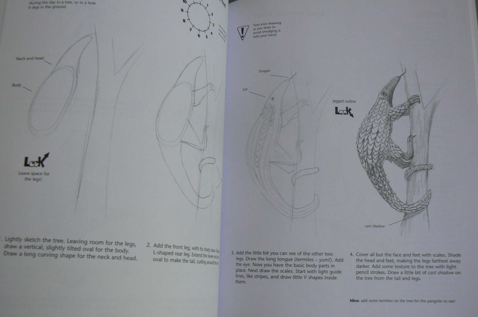 DRAW Rainforest Animals, Doug DuBosque, NEW PB 31773 Art Instruction,Drawing