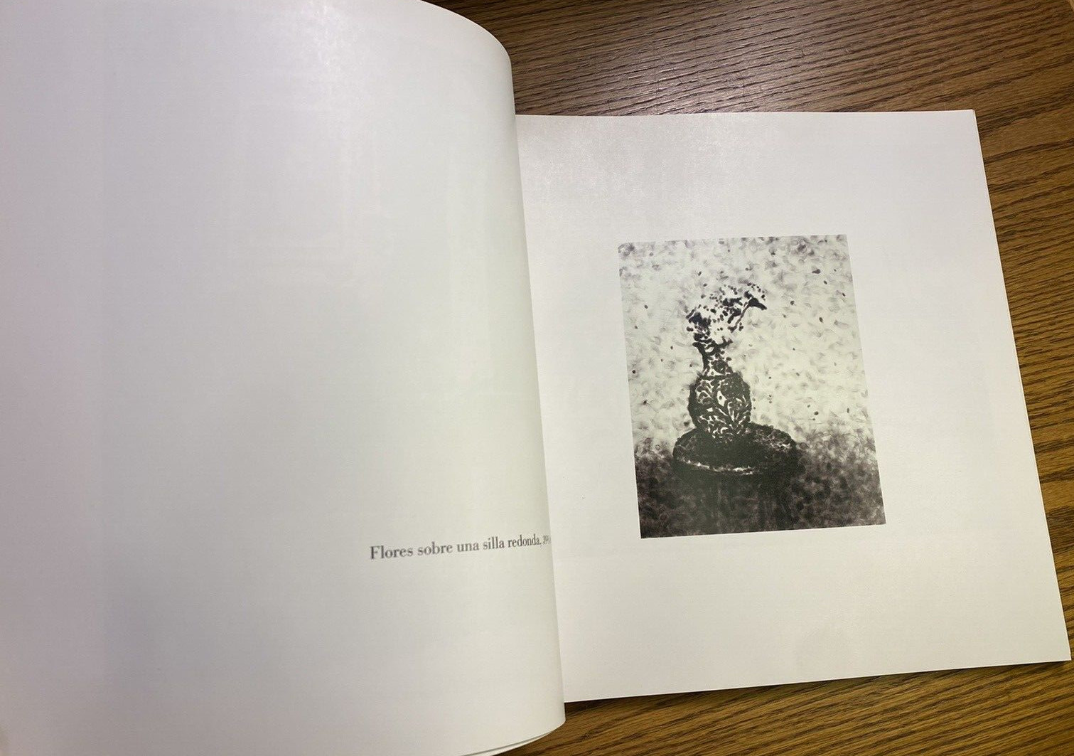 Jiri Georg Dokoupil Art First Edition 1989 Published by Robert Miller, New York