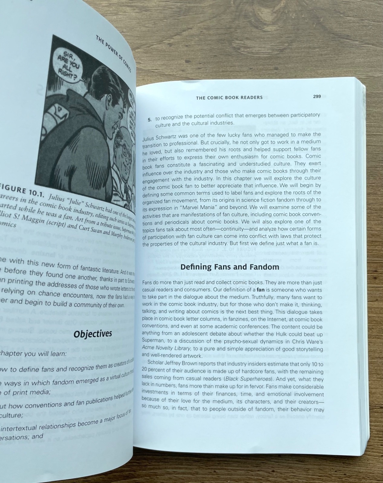 The Power of Comics – History, Form, and Culture Paperback Book 2nd Edition 2016
