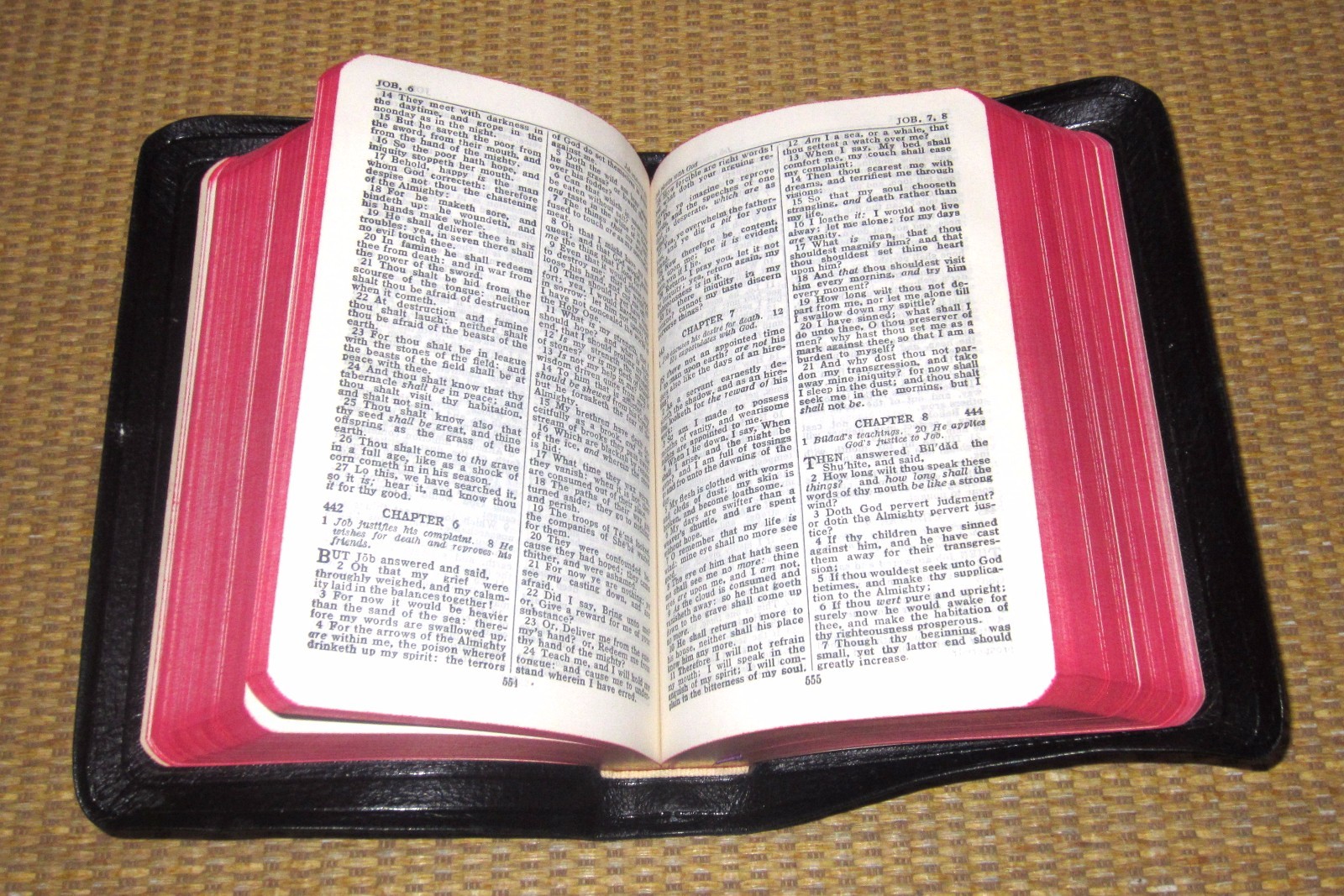 INTERNATIONAL Holy Bible | KJV STUNNING Leather Compact (4.25″ x 6.5″) in BOX