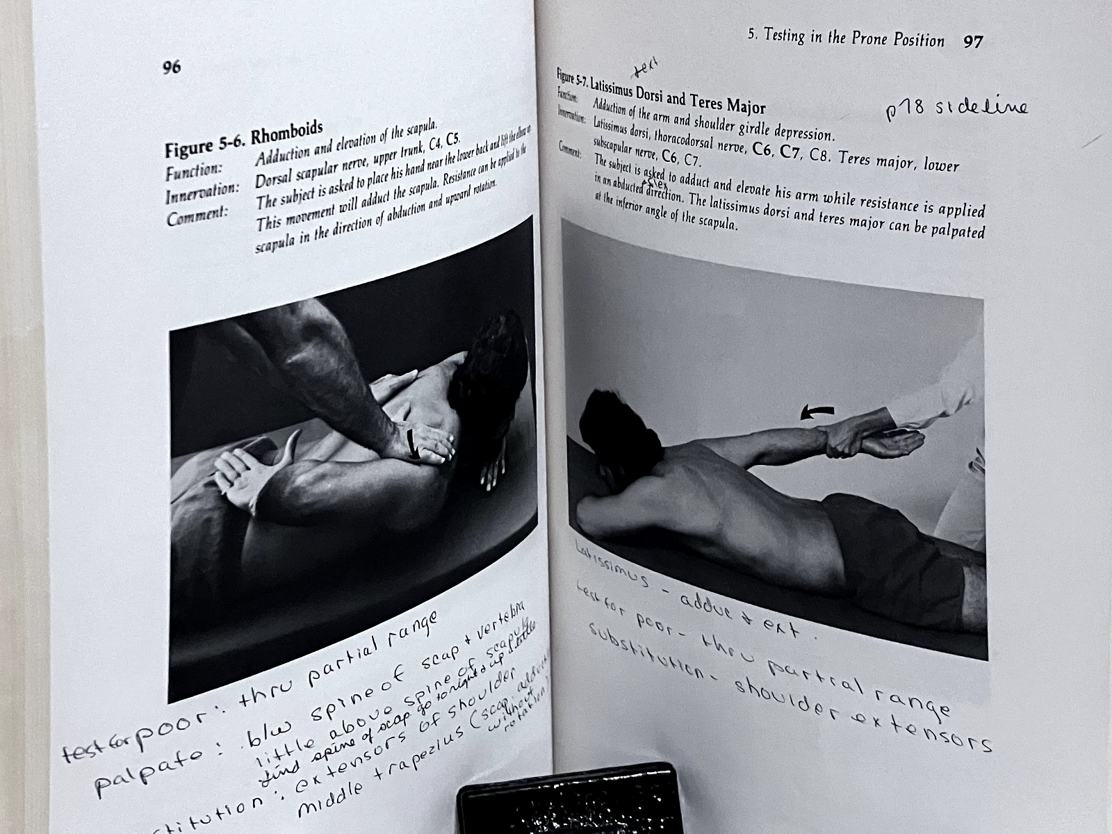 The Muscle Testing Handbook 1984 Occupational Therapy 194 Pages