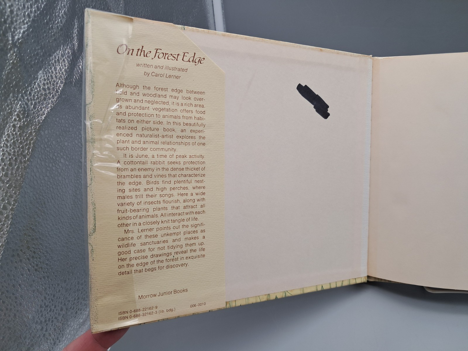 Vintage Picture Book ON THE FOREST EDGE by Carol Lerner