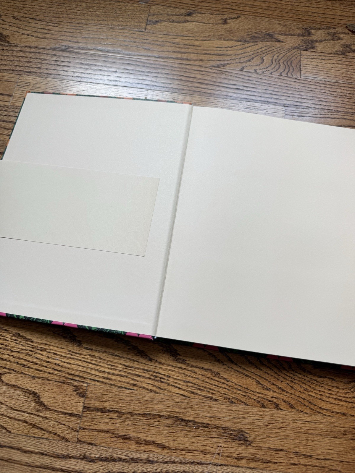 MoMA Sturtevant: Double Trouble Hardcover (2014) Illustrated 1st Edition