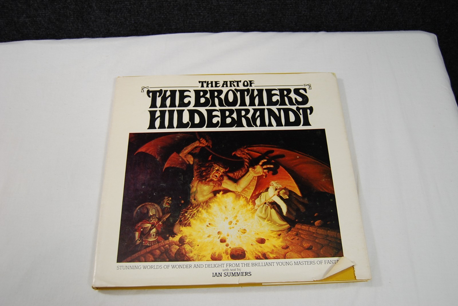 BOOK CLUB EDITION The Art Of The Brothers Hildebrandt 1979 HARDCOVER wDJ Tolkien