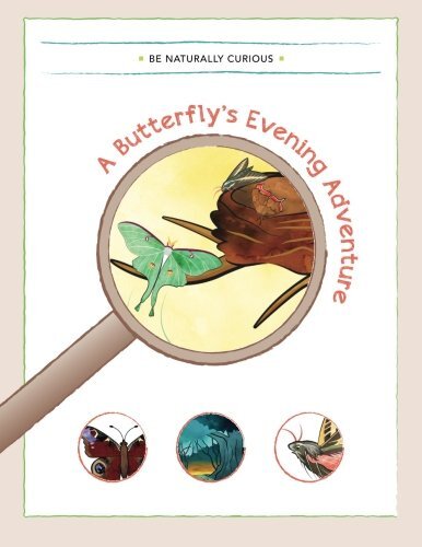 A Butterfly’s Evening Adventure, Curious New 9781942403005 Fast Free Shipping-,