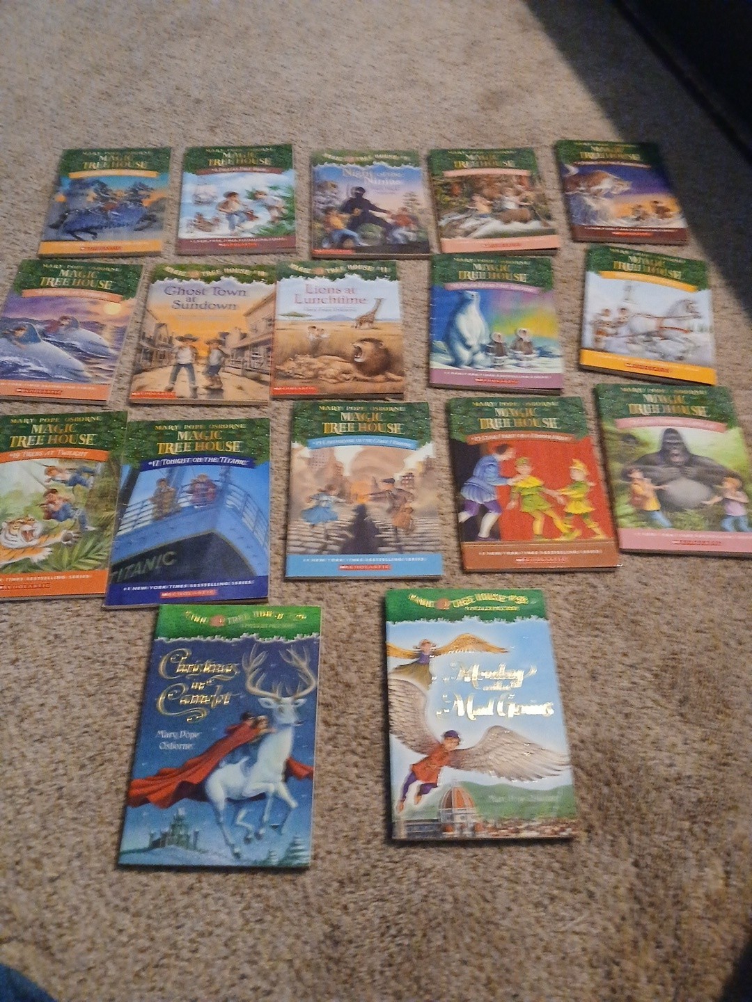Lot of 17 Magic Tree House Books Mary Pope Osborne Childrens