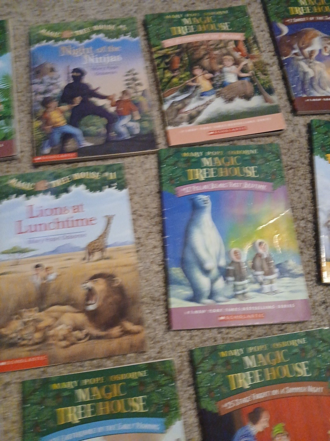 Lot of 17 Magic Tree House Books Mary Pope Osborne Childrens