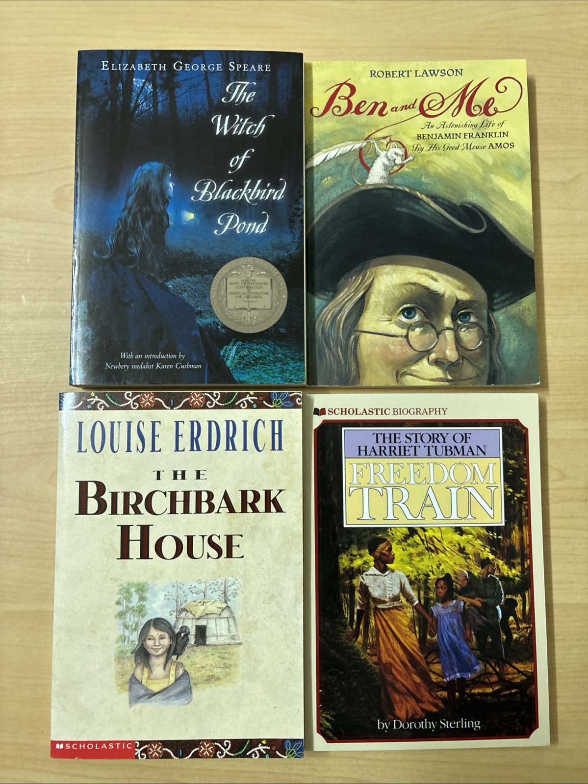 Lot 16 Nearly Complete Oak Meadow 5th Grade Curriculum English Math Science Hist