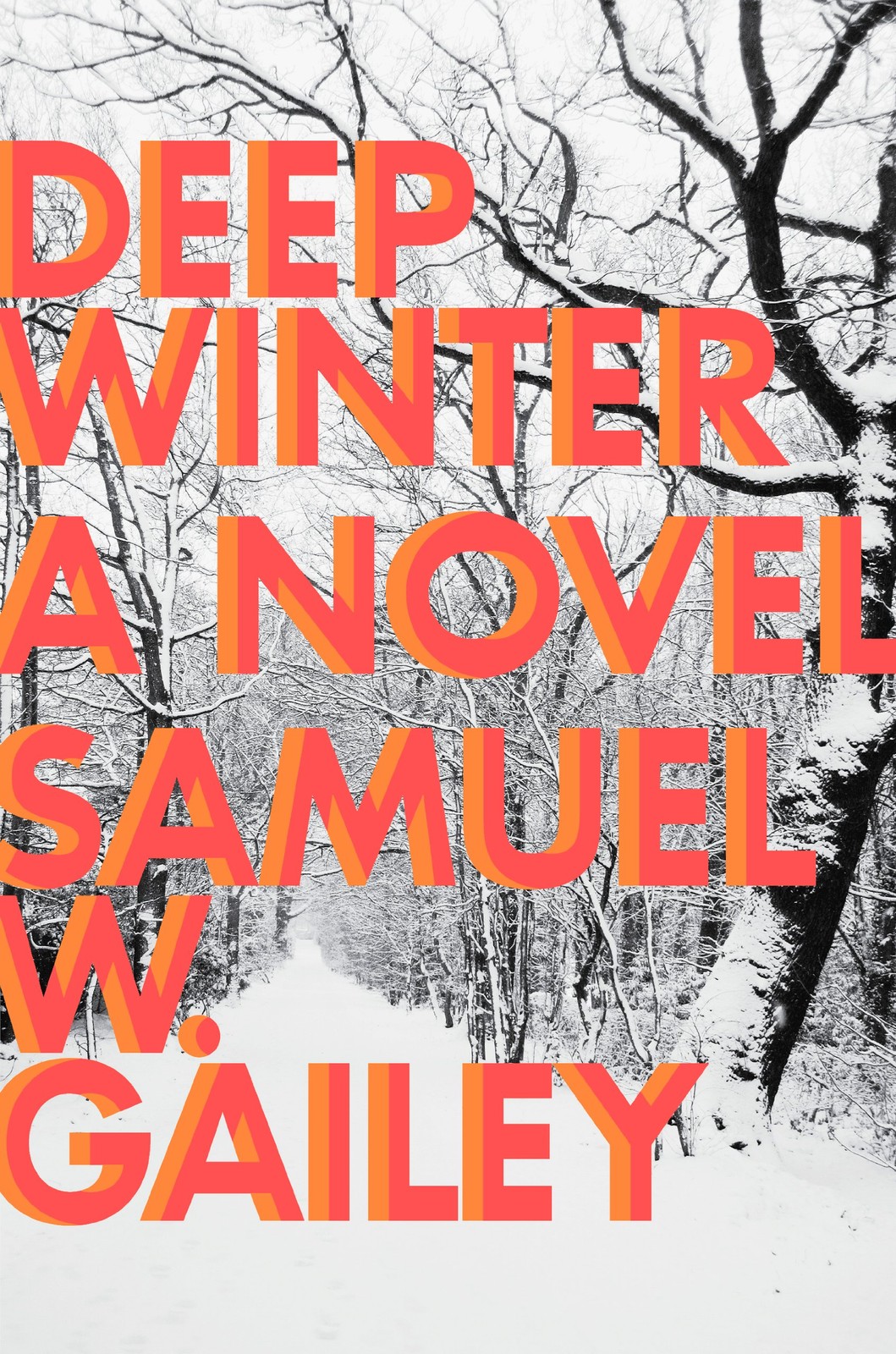 Deep Winter: a Novel