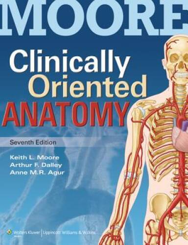 Clinically Oriented Anatomy – Paperback By Keith L. Moore – GOOD