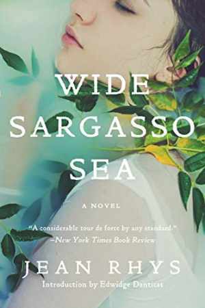 Wide Sargasso Sea – Paperback, by Rhys Jean – Very Good