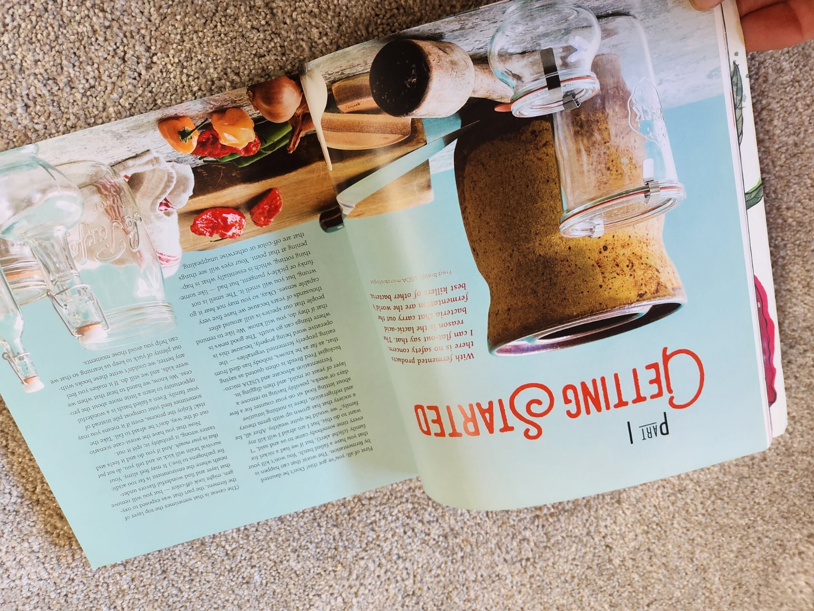 Fiery Ferments : 70 Stimulating Recipes for Hot Sauces, Spicy Chutneys, Kimchis