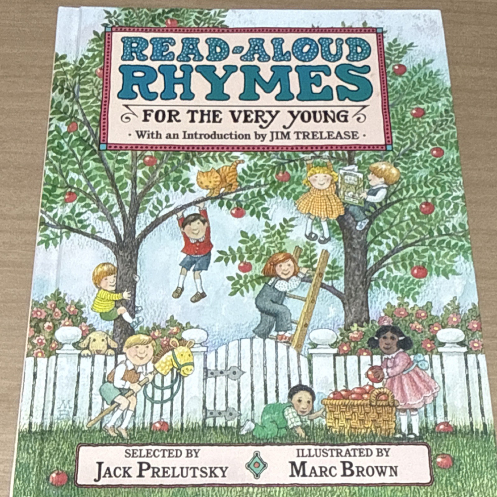 Vintage Alfred A. Knopf Read-Aloud Rhymes Jack Prelutsky Marc Brown Hardcover P…