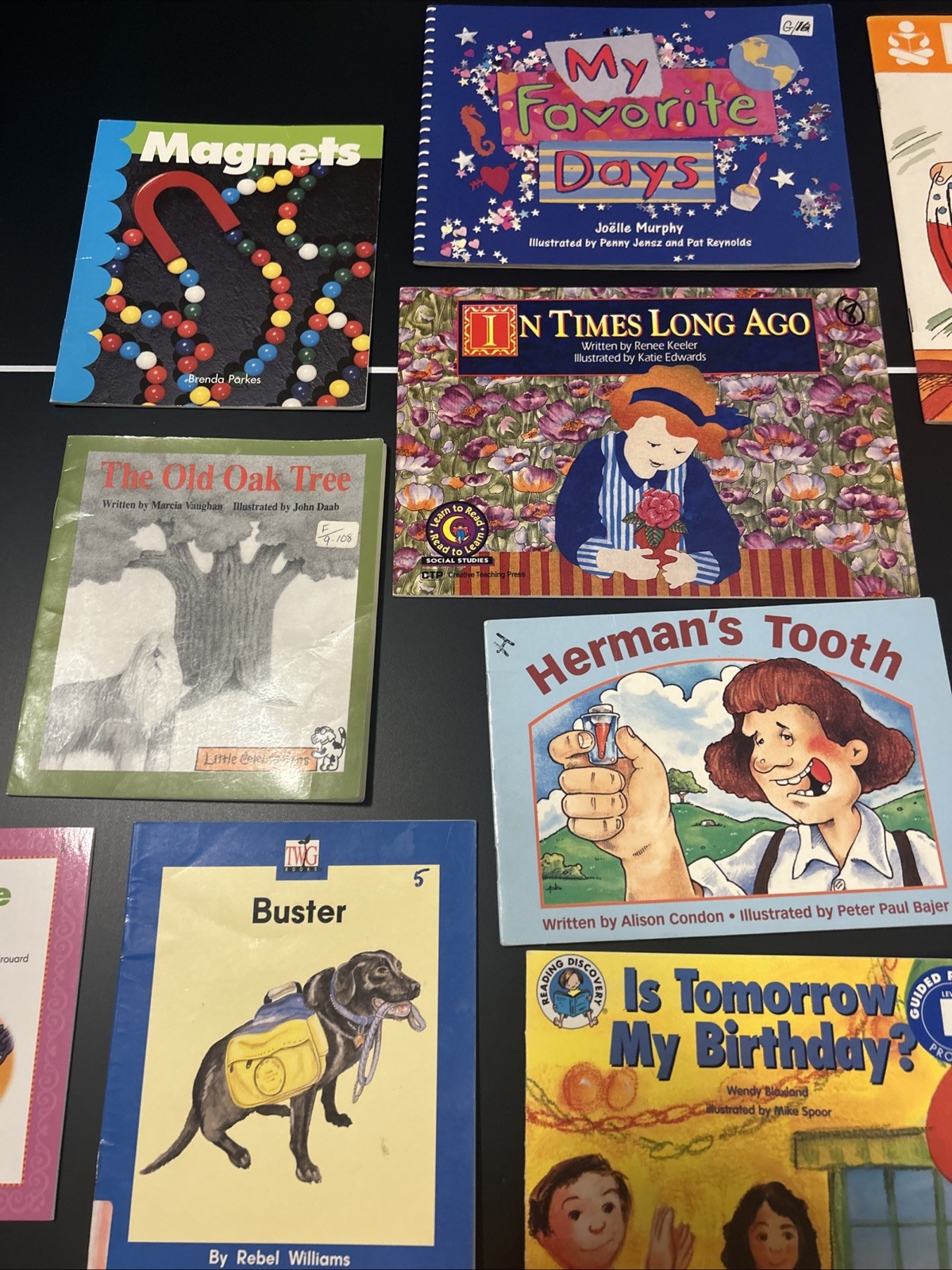 29 Beginning Reader Books for first grade level