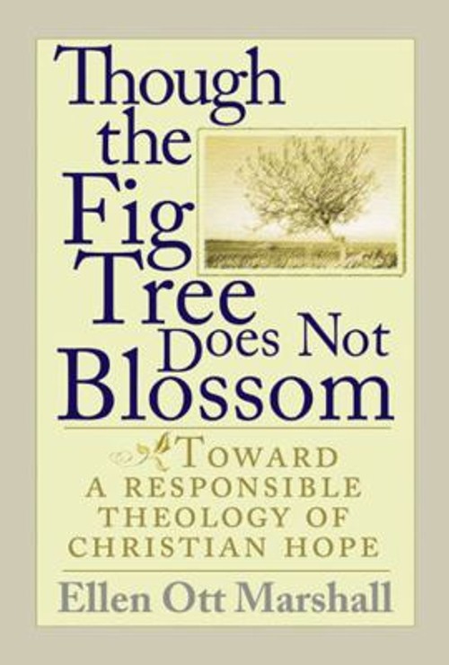 Though the Fig Tree Does Not Blossom : Toward a Responsible Theol