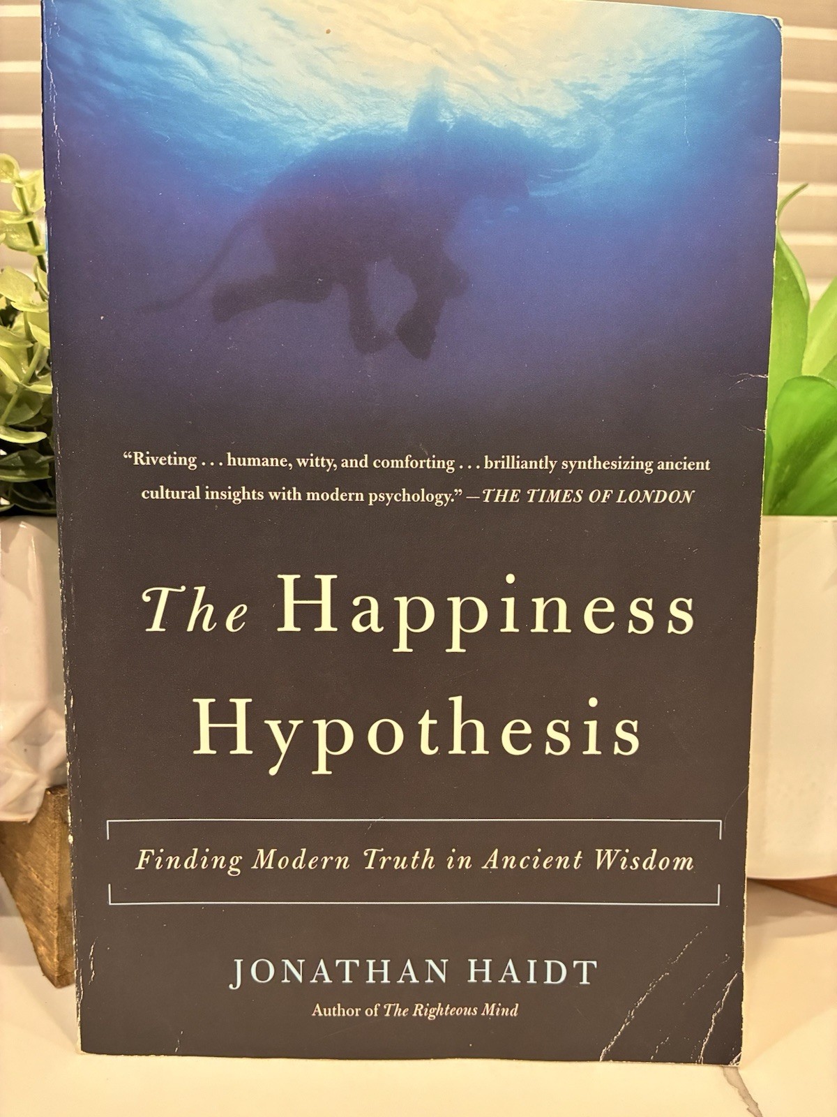 The Happiness Hypothesis Jonathan Haidt PB Psychology Nonfiction Happiness