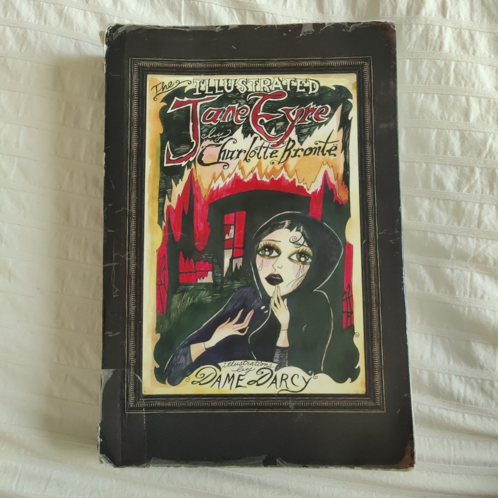 The Illustrated Jane Eyre by Charlotte Bronte Illustrated by Dame Darcy Book