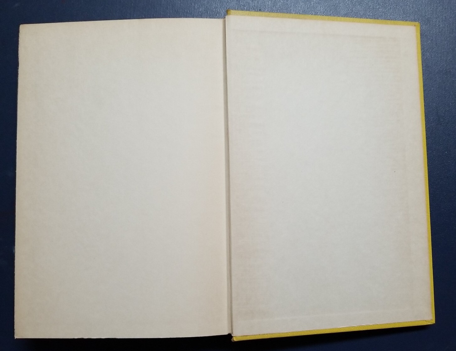 Double Exposure Theo Fleischman Florentin Tailliard 1956 Second Printing With DJ